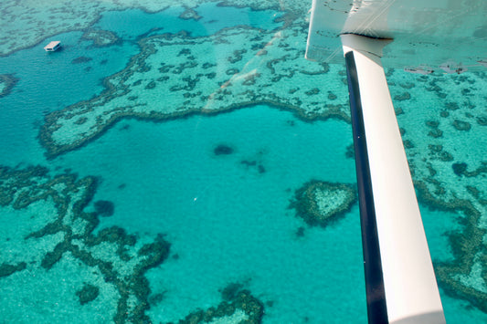 L'impact des protections solaires chimiques sur les récifs coralliens : Les récifs coralliens pourraient disparaître d'ici à la fin du siècle, prévient l’ONU - Greenbush 